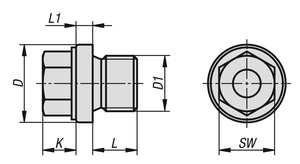 K1131 สกรูปลั๊ก DIN910 ไม่มีช่องระบายอากาศ, M48X2, SW=30, รูปแบบ: A, เหล็กชุบสังกะสี - Product Image 4