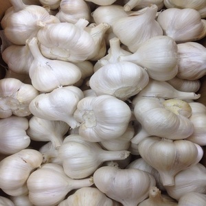 Ajo Blanco Puro 100% Orgánico, Pelado, Fresco y Dulce, de Alta Calidad, Precio al por Mayor, para Uso Alimentario - Product Image 4