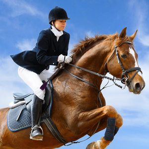 Fouet d'équitation durable, accessoire professionnel d'entraînement équestre avec manche léger et flexible et poignée sécurisée avec OEM - Product Image 6