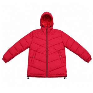 Men's Heavyweight Hooded Puffer Jacket Quilted Bubble Coat Full-Zip Water-Resistant Insulated Outerwear with Drawstring Hem - Product Image 1