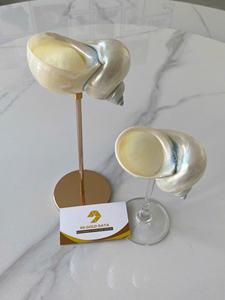 Verres à vin en coquillages naturels, verres à vin en coquillages marins chauds, coupes en coquille de conque, gobelets en coquille de mer pour la cuisine et les desserts, haute qualité - Product Image 2