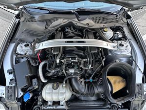 Auténtico Ford Mustang Mach 1 Coupé 2023, Listo para Enviar a Todo el Mundo - Product Image 5