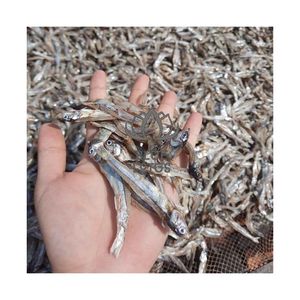 Anchoas Secas de Primera Calidad 2026 para Hostelería y Restaurantes, Mariscos Puros, Limpios, Seguros, de Grado Alimenticio Premium - Product Image 1