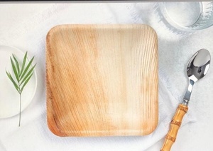 Areca Palm Leaf Modern Biodegradable 6 Inches Square Disposable Compostable Plates for Catering Events & Outdoor Dining Plates - Product Image 4