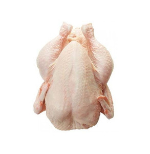 Pollo Entero Congelado Halal Premium Grado A BQF para Asar, Grillar y Hacer Caldo - Product Image 4