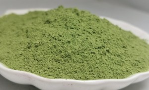 WHOLESALE NATURAL CELERY VEGETABLE POWDER FOR COSMETICS / SKIN CARE ANTI-AGING CELERY EXTRATC POWDER - Product Image 3