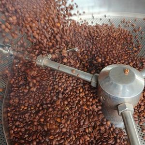 เมล็ดกาแฟโรบัสต้าคั่วกลาง คุณภาพพรีเมียม ยั่งยืน เป็นมิตรต่อสิ่งแวดล้อม สดใหม่ ขายดีที่สุด ขายส่งจำนวนมาก - Product Image 6