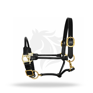 Rolled Leather Horse Halter Premium Adjustable Brass <b>Hardware</b> Show Halter - Product Image 2