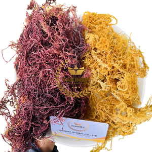 Vietnam Ninh Thuan 100% Organic High Quality Gold Sea <b>Moss</b>/ Irish <b>Moss</b> / Wildcrafted Sun <b>Dried</b> Seamoss Beverage Bag OEM Packing - Product Image 1