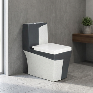 WC monobloc en céramique moderne du Gujarat avec abattant hydraulique et raccords, chasse d'eau double, pour usage extérieur - Product Image 3