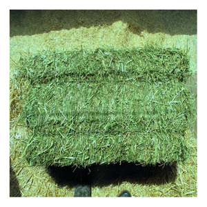Prêts à fournir des balles de foin d'alfalfa / des granulés d'alfalfa / des cubes d'alfalfa déshydratés / du foin de timothée - Product Image 4