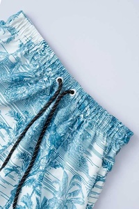 Shorts de Alta Calidad para Hombre, Tallas Grandes, Secado Rápido, Ecológicos, Casuales, Estampado Tropical a Rayas, Transpirables, para Playa y Natación - Product Image 4