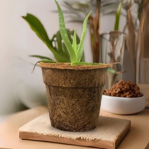Seed germination <b>plant</b> grow pots coco coir pot kits coconut fiber <b>basket</b> <b>for</b> hydroponic <b>plants</b> - Product Image 3