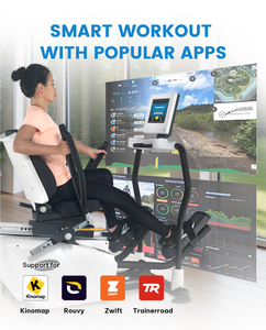 Home & Clinic Use Rehabilitation Stepper with Quiet Operation - Product Image 3