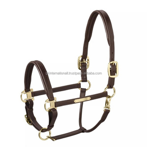 Cabestro para Caballo de Cuero Acolchado Cómodo y Duradero con Placa de Nombre de Latón Personalizada y Herrajes de Latón Ajustables Resistentes - Product Image 4