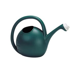 Arrosoirs en métal galvanisé pour plantes de jardin, support pour fleurs, pot décoratif en fer pour plantes aromatiques, pour l'intérieur et l'extérieur - Product Image 6