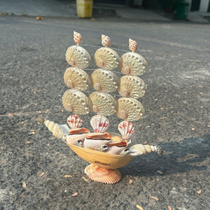 Vietnam Mix Seashell For Professional Photography Props And Creating Savory Traditional Ocean Sets 99 Gold Data Co - Product Image 6