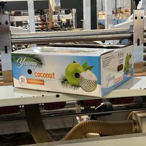Caja de Cartón Corrugado Ventilada Personalizada para Exportación de Coco, Empaque para Fruta Fresca, Impresión Offset con Orificios de Ventilación, OEM ODM Vietnam - Product Image 2