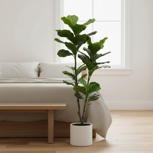 Grand arbre artificiel <span class=keywords><strong>en</strong></span> figuier à feuilles de violon, 120 cm, <span class=keywords><strong>en</strong></span> <span class=keywords><strong>pot</strong></span>, plante artificielle réaliste, ficus lyrata, décoration intérieure, bureau, Noël - Product Image 6