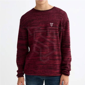 Sweat-shirt en coton 100% à coupe classique pour homme, logo personnalisé, motif uni, respirant, séchage rapide, vêtements d'hiver 300g - Pakistan - Product Image 1