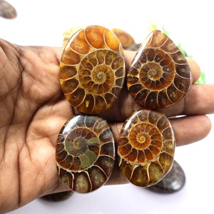 อะมโมไนต์ธรรมชาติคุณภาพสูง สีฟ้าไฟ ขัดเงา ทำด้วยมือ วัสดุสำหรับทำเครื่องประดับ รัฐราชสถาน ผู้ผลิตบุคคลที่สาม - Product Image 4