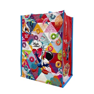 Webbing <span class=keywords><strong>PP</strong></span> dệt Túi hình ống dây kéo Vai Tùy Chỉnh Việt Nam <span class=keywords><strong>PP</strong></span> OEM/ODM wepac Chất lượng cao <span class=keywords><strong>PP</strong></span> dệt Túi - Product Image 5