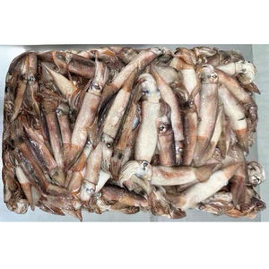 Calamars (seiche) surgelés <span class=keywords><strong>de</strong></span> qualité supérieure pour la restauration – Vente en gros à prix abordable <span class=keywords><strong>de</strong></span> viande <span class=keywords><strong>de</strong></span> calamars surgelée pure - Product Image 5