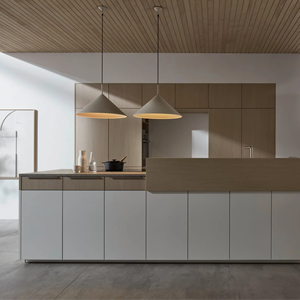 Meubles en bois de luxe sur mesure JY Project Vietnam, design moderne pour le marché européen, armoires de cuisine RTA, organisateur d'armoires modulaires - Product Image 2