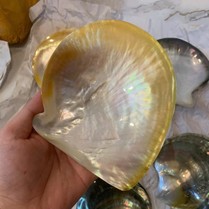 Vietnam Mother of Pearl Plate Handmade Natural Shell Material for Jewelry Tray Table Decor Polished Use - Product Image 1