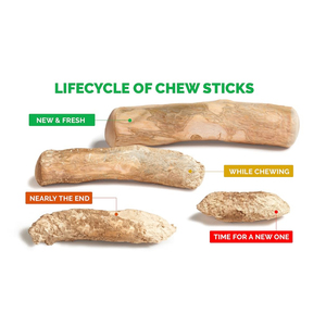 ไม้สำหรับสุนัขของเล่นสำหรับสัตว์เลี้ยงไม้สำหรับใช้ในการฝึกสุนัขจากโรงงานสัตว์เลี้ยงจากเวียดนาม - Product Image 2