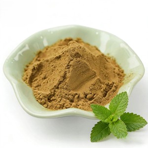 Extracto de Hoja de Menta 100% Natural de Marca Privada, Extracto de Menta de Calidad Alimentaria Seleccionada, Proveedor a Granel de la India - Product Image 1