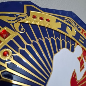 TBA Boxing Jiu-Jitsu Championship <b>Belt</b> Customized Names Logo Blue Gold <b>Red</b> Design 1.5M Length Brass Zinc Steel Material Proud 30 - Product Image 6