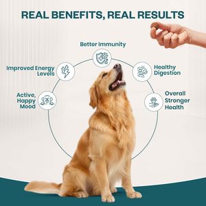 Friandises à mâcher multivitaminées pour chiens et chats, soutien de la peau et du pelage, fourrure saine, riches en oméga, bienfaits quotidiens, complément alimentaire naturel pour animaux de compagnie - Product Image 5