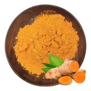 Poudre d'extrait de racine de curcuma 100 % pure, de qualité alimentaire, naturelle, pour le soutien immunitaire et articulaire des hommes et des femmes – Meilleures ventes - Product Image 1