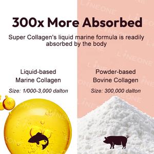 Vendita calda idrolizzato 3300mg collagene marino Super collagene bevanda integratore collagene liquido orale - Product Image 6