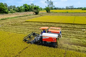 Moissonneuse-batteuse Kubota DC-120X 120 CV Diesel sur chenilles pour riz, grande capacité, machine agricole - Product Image 2