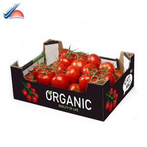 Cajas de Cartón Corrugado Impresas de Alta Resistencia para el Embalaje de Fruta Fresca - Product Image 3