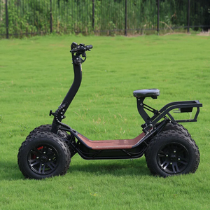 High Tier Hioev 4-<b>Wheel</b> Electric Mobility Scooter with Aluminum Frame 3-Year Warranty DIY Customization <b>Plastic</b> Handle - Product Image 2