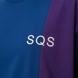 High Quality 300gsm 100% Cotton t Shirts Factory Price Manufacturer Custom Logo Printing T-Shirt Plain Unisex Women Men <b>Tshirt</b> - Product Image 3