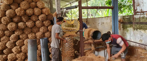 Outstanding Quality 100% Natural Coconut Fiber <b>Eco</b>-Friendly Erosion Control Coir <b>Logs</b> Planting Direct Vietnam Top Manufacturer - Product Image 6