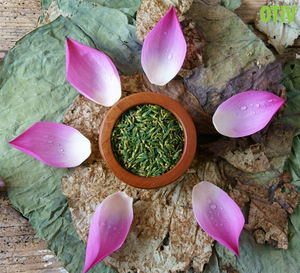 MEJOR PRECIO Y TÉ ESPECIAL DE CORAZÓN DE LOTO DE ALTA CALIDAD PARA EXPORTAR DE PROVEEDORES VIETNAMESOS - Product Image 2