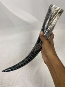 Cornes de buffle de qualité supérieure 100% sculptées pour cadeaux d'affaires, cornes de buffle artisanales d'Inde à vendre en gros - Product Image 3