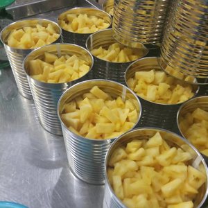 Anillos de Piña en Almíbar para Repostería y Heladería - Product Image 1