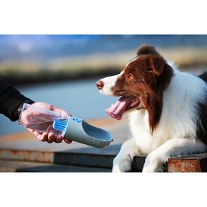 Eversweet Ciotola Portatile per Acqua Gassata con Filtro per Cani e Gatti, Bottiglia per Purificazione dell'Acqua per Uso Esterno - Product Image 3