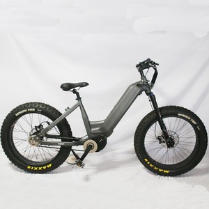Bicicleta Eléctrica Híbrida de Carretera 2024, Último Modelo, 48V Bafang M620 M630, 5 Velocidades Automáticas, Transmisión por Correa, Motor Central de 1000W, Bicicleta Urbana en Venta - Product Image 4