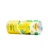 Jus de fruits naturels vitaminés OEM/ODM 250ml en canette mince, boisson au jus de citron, jus de fruits et légumes sous marque privée