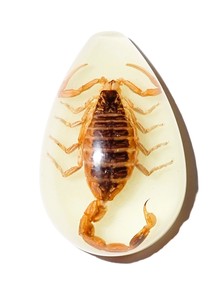 Golden Scorpion Real Specimen Plastic Cabochon Pear Shape Cut <b>Top</b> 33x22 mm Glow Flat Bottom for Crafts and Jewelry Making - Product Image 2