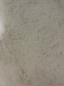 High Fat Fine Desiccated Coconut for Bakery Decoration - Product Image 5
