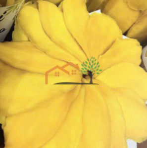 100% Natural Soft Less Sugar AD Dried Mango Sliced Bulk Premium Quality Vietnam Manufacturer Wholesale Supply - Product Image 6