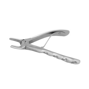 Premium Quality Berten Type Extraction Forceps PLUS-2 German Stainless Steel Dental Tooth Extracting Forceps Oral Surgery - Product Image 5